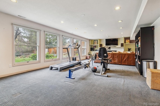 6062 S Emporia Cir, Englewood, CO 80111 - workout room featuring carpet floors, recessed lighting, and baseboards