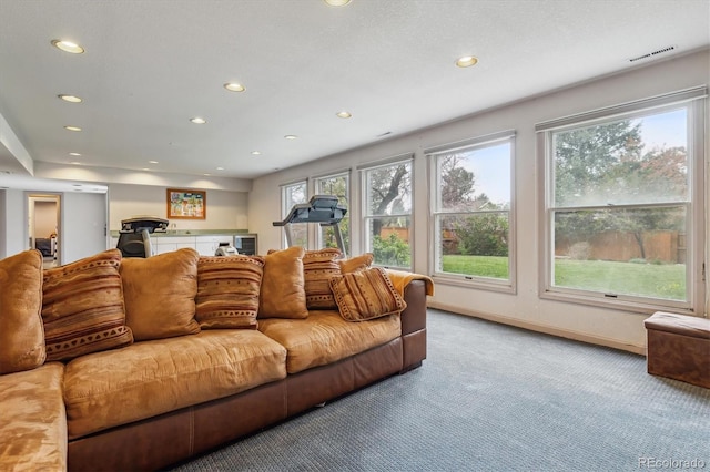 6062 S Emporia Cir, Englewood, CO 80111 - living area with recessed lighting, carpet, and a wealth of natural light