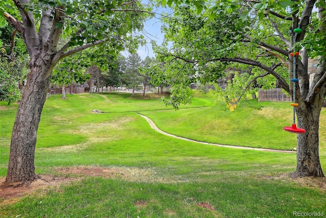 8108 S Fillmore Cir, Centennial, CO 80122 - view of yard