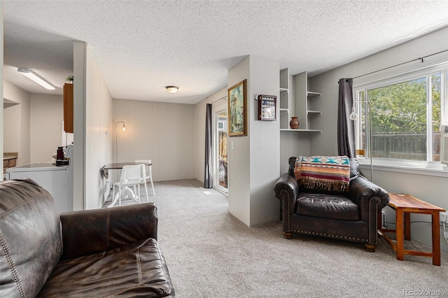 living area with carpet, a textured ceiling, and washer / clothes dryer