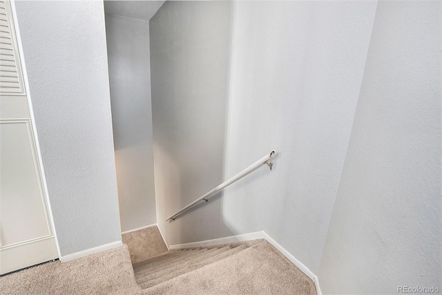 staircase featuring carpet floors