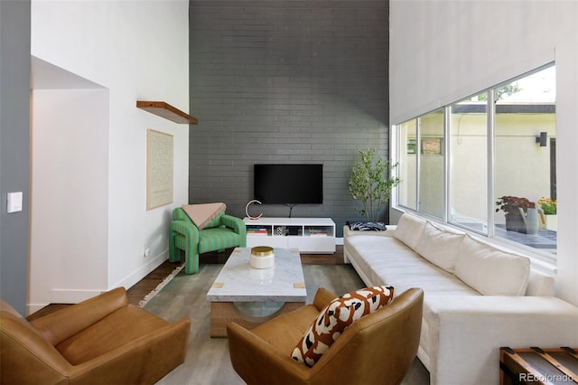 505 Detroit St, Denver, CO 80206 - living room featuring wood finished floors and a towering ceiling