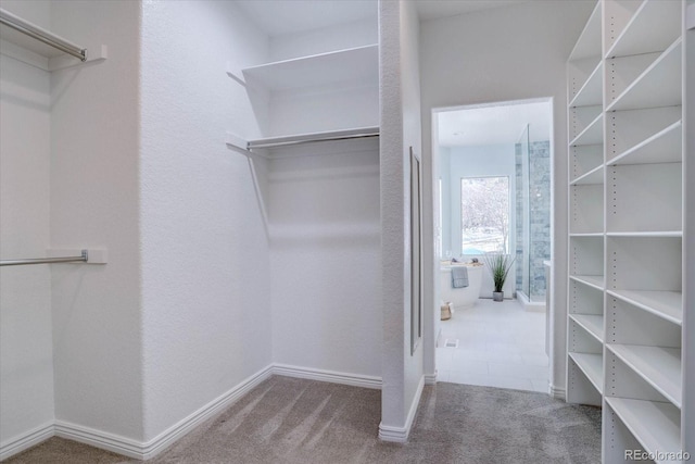 walk in closet featuring carpet floors