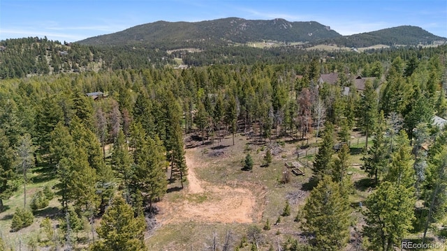 27687 Pine Grove Trl, Conifer, CO 80433