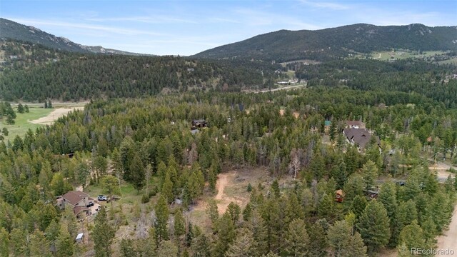 27687 Pine Grove Trl, Conifer, CO 80433