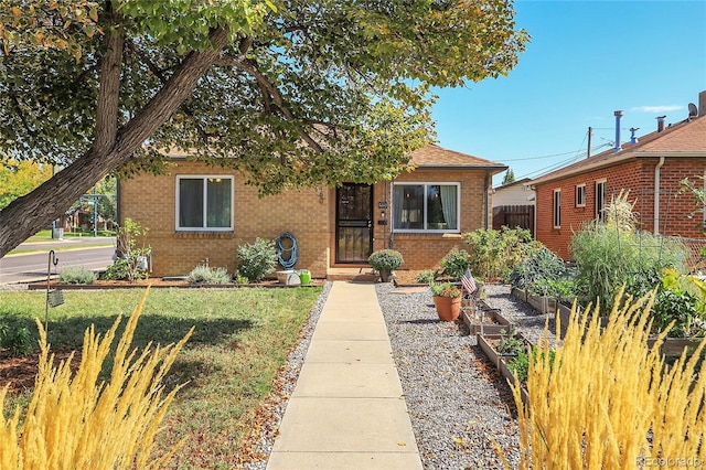 view of front facade featuring a front yard