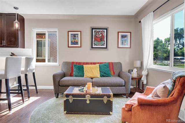 living room featuring dark wood-type flooring