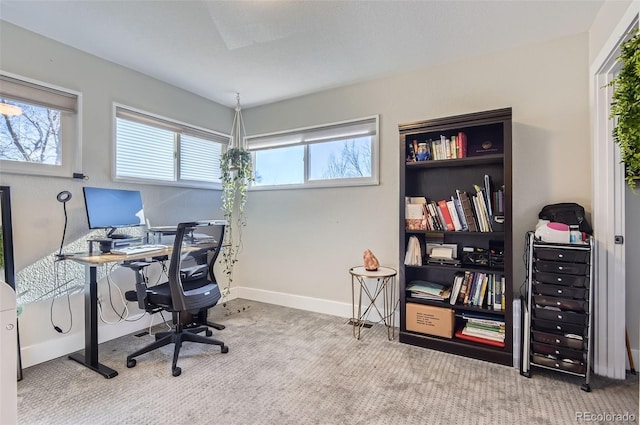 office space featuring light carpet