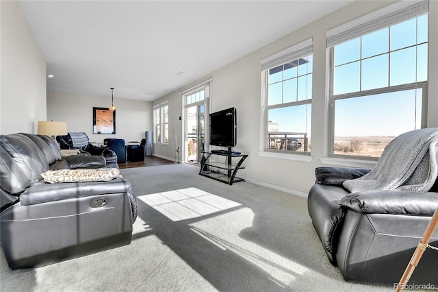 13598 Via Varra Unit 301, Broomfield, CO 80020 - living room with baseboards and carpet floors