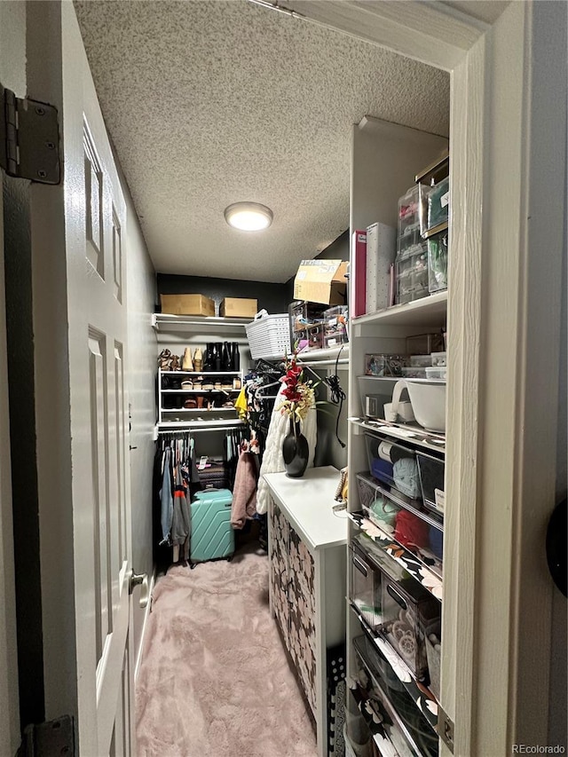 walk in closet with light carpet