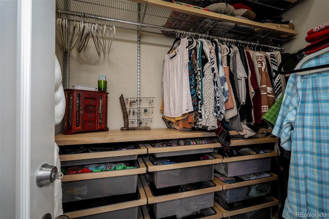 view of spacious closet