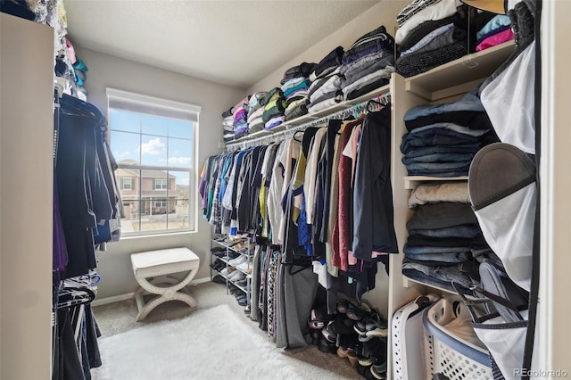 spacious closet with carpet