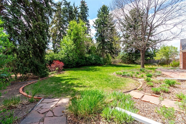 3756 S Forest Way, Denver, CO 80237 - view of yard