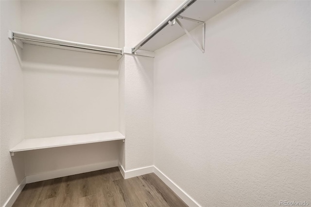 walk in closet with hardwood / wood-style flooring