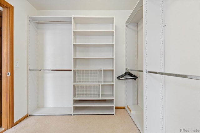 walk in closet featuring carpet floors
