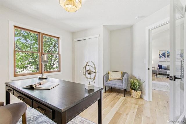 9810 Venneford Ranch Rd, Highlands Ranch, CO 80126 - office with light wood-style flooring and baseboards