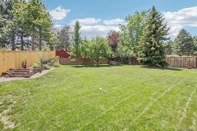 9810 Venneford Ranch Rd, Highlands Ranch, CO 80126 - view of fenced backyard