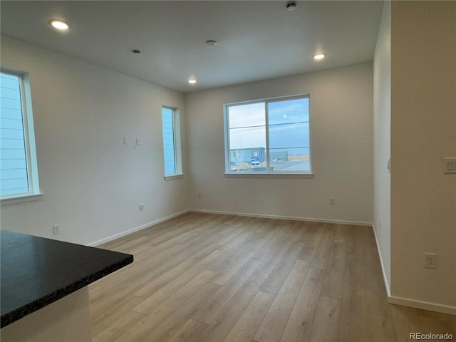 interior space featuring light hardwood / wood-style floors