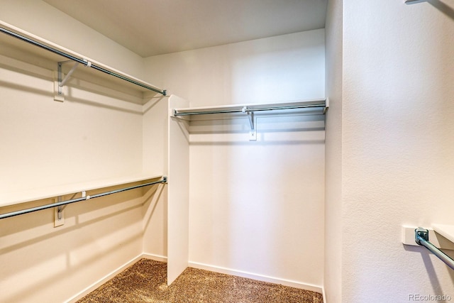 spacious closet featuring dark colored carpet