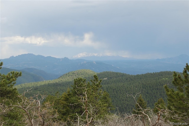 property view of mountains