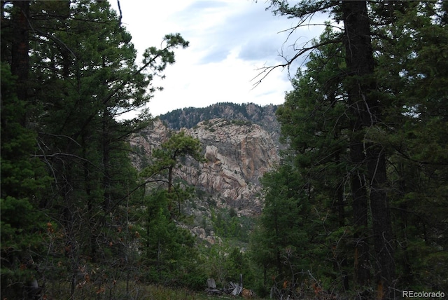 view of mountain feature