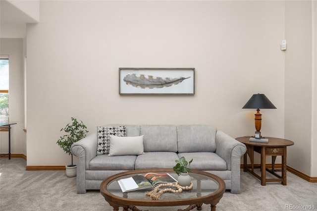 6506 S Robb Way, Littleton, CO 80127 - carpeted living room featuring baseboards