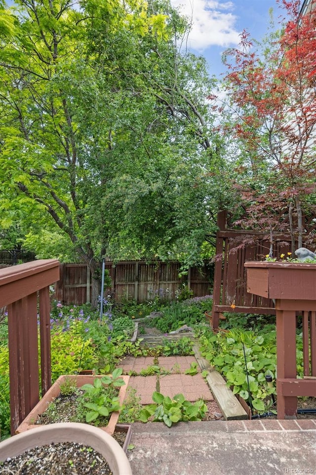 6506 S Robb Way, Littleton, CO 80127 - fenced backyard with a garden