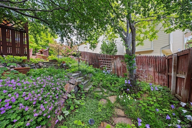 6506 S Robb Way, Littleton, CO 80127 - view of fenced yard