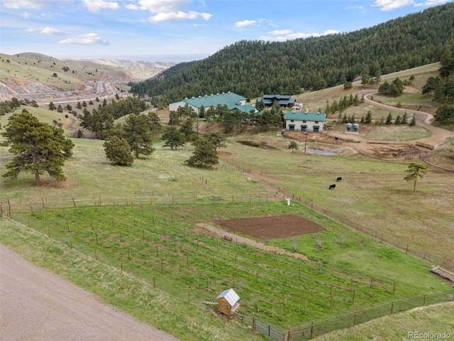 drone / aerial view with a mountain view and a rural view