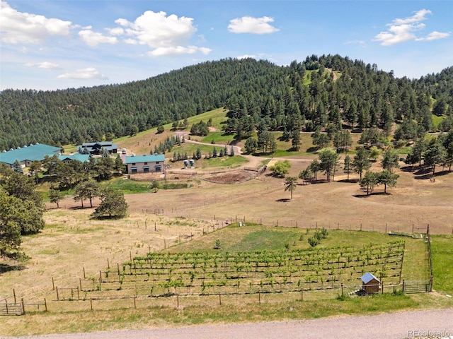 property view of mountains featuring a rural view