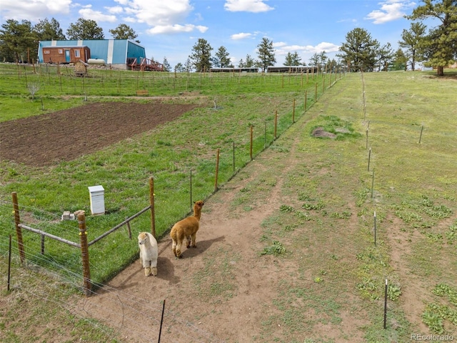 view of yard featuring a rural view