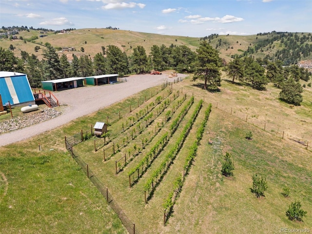 drone / aerial view featuring a rural view