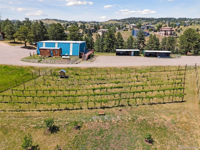 view of yard featuring a rural view