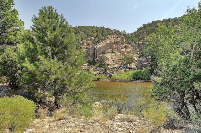 property view of water featuring a view of trees