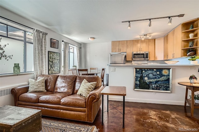 500 E 11th Ave Unit 205, Denver, CO 80203 - living area featuring healthy amount of natural light, concrete floors, and track lighting