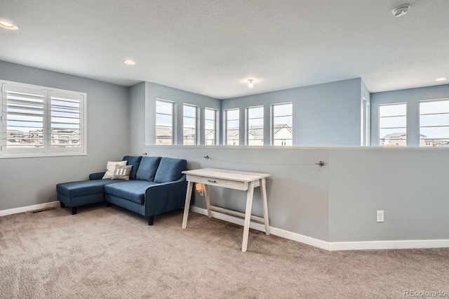 14734 Domino Dr, Parker, CO 80134 - photo 21
