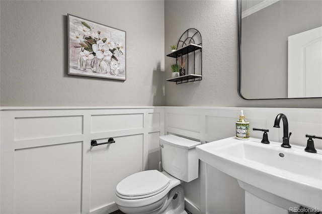 4562 N Bend Way, Longmont, CO 80504 - photo 5