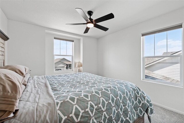 4562 N Bend Way, Longmont, CO 80504 - photo 18