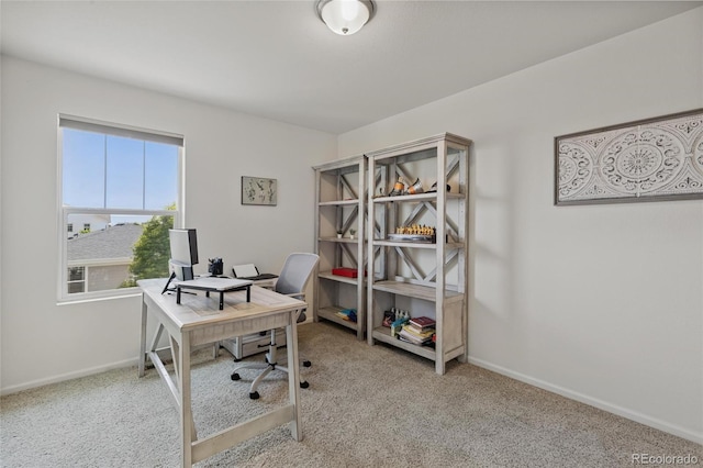 4562 N Bend Way, Longmont, CO 80504 - photo 19