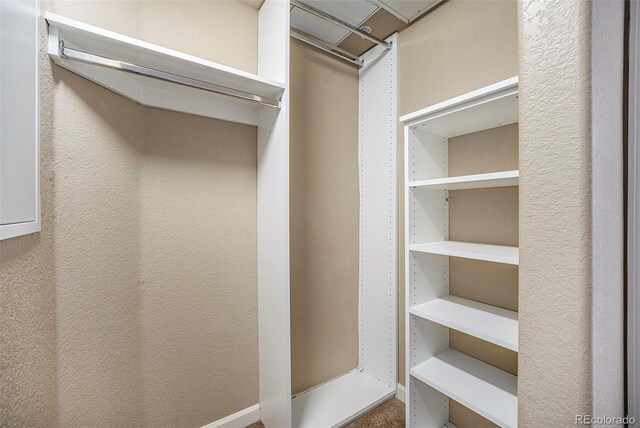 1144 Rockhurst Dr Unit 105, Highlands Ranch, CO 80129 - view of walk in closet