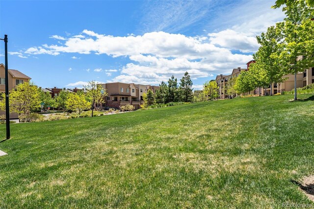 1144 Rockhurst Dr Unit 105, Highlands Ranch, CO 80129 - view of grassy yard featuring a residential view