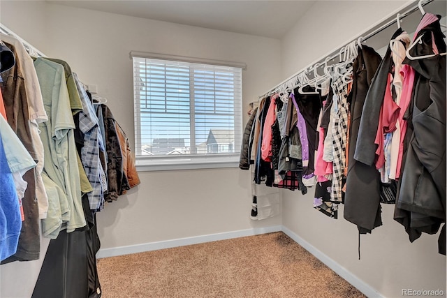 walk in closet with light colored carpet