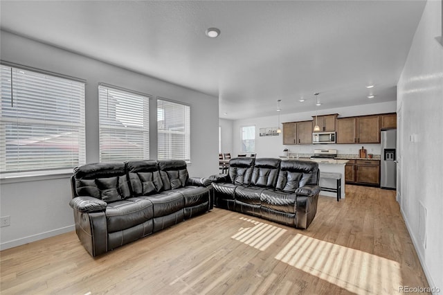 living room featuring light hardwood / wood-style flooring and a wealth of natural light