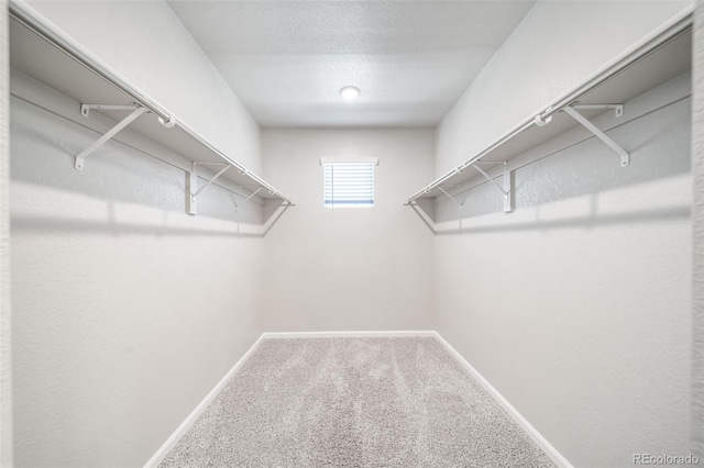 12276 Dairy St, Thornton, CO 80241 - photo 29