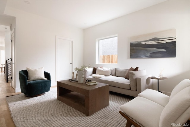 living room with wood-type flooring