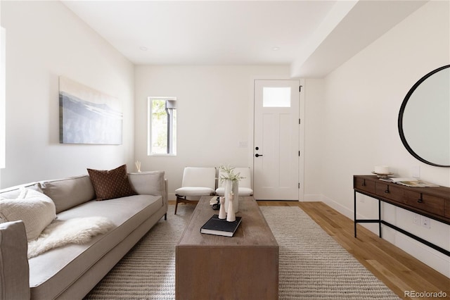 living room featuring light hardwood / wood-style floors