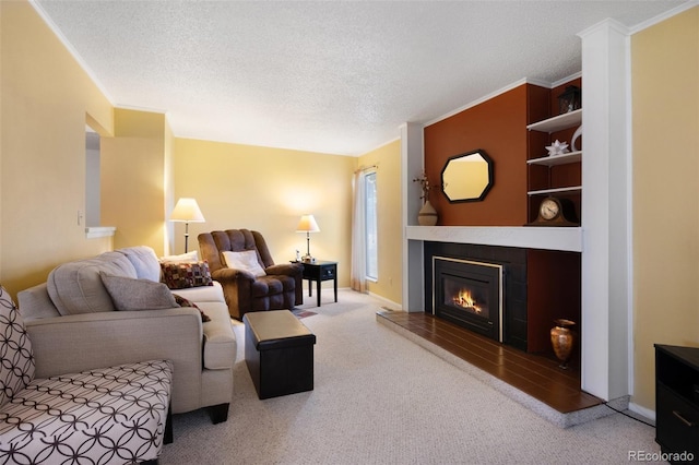 5082 Masheena Ln Unit 4, Colorado Springs, CO 80917 - living area featuring carpet, a glass covered fireplace, a textured ceiling, and baseboards