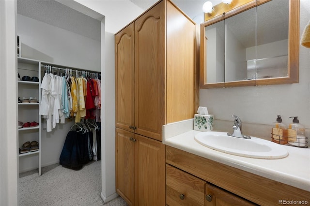 5082 Masheena Ln Unit 4, Colorado Springs, CO 80917 - bathroom featuring vanity and a walk in closet