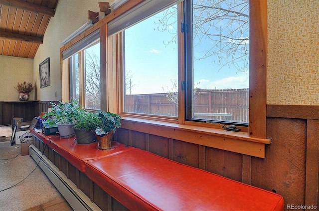 28453 County Road 337, Buena Vista, CO 81211 - room details featuring baseboard heating