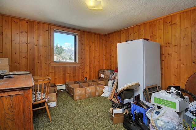 28453 County Road 337, Buena Vista, CO 81211 - home office with wooden walls, baseboard heating, carpet flooring, and a textured ceiling